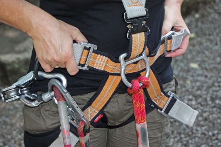 forest climbing park, langenburg, germany-931256.jpg